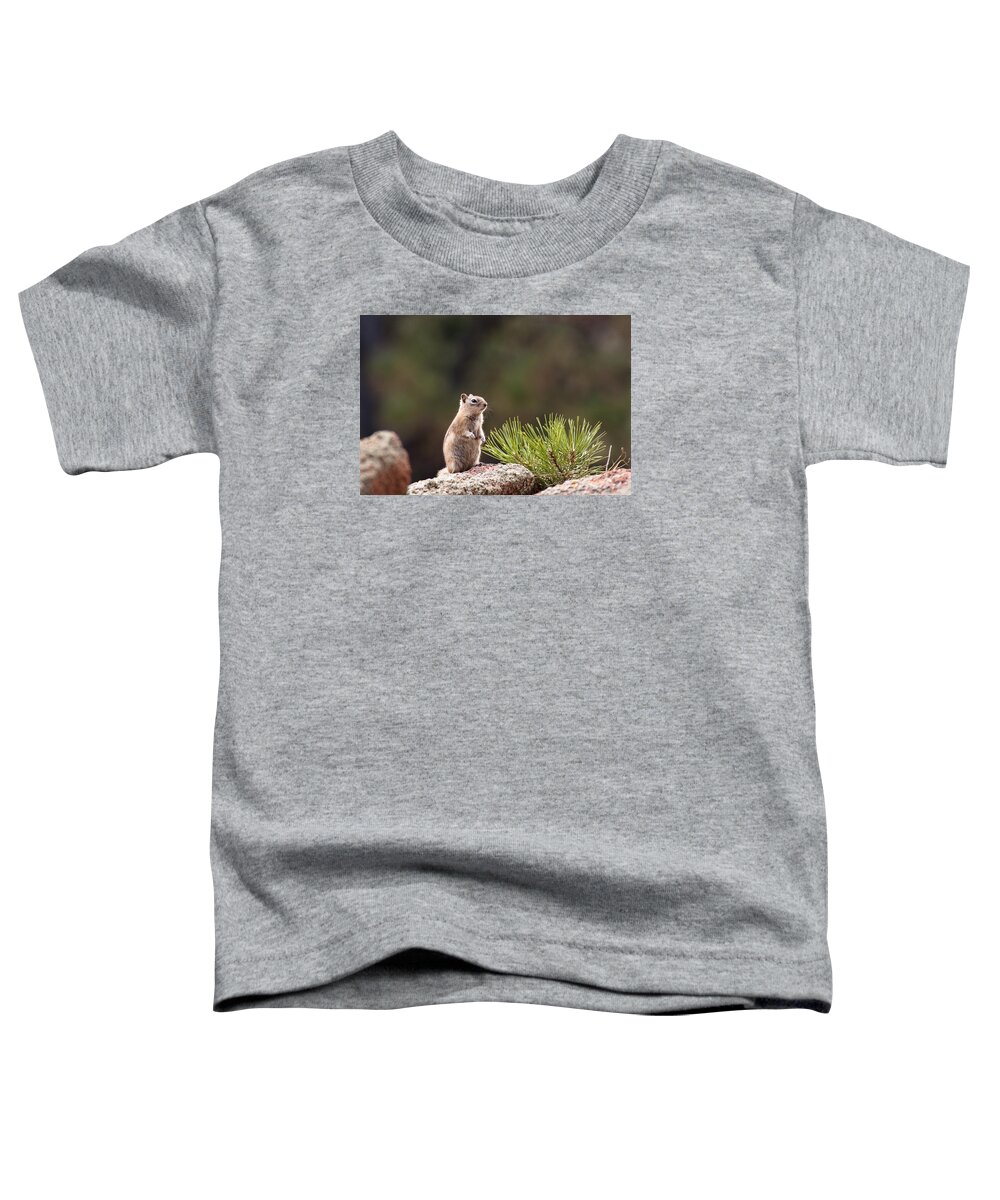 Animals Toddler T-Shirt featuring the photograph Checking Things Out by Monte Stevens