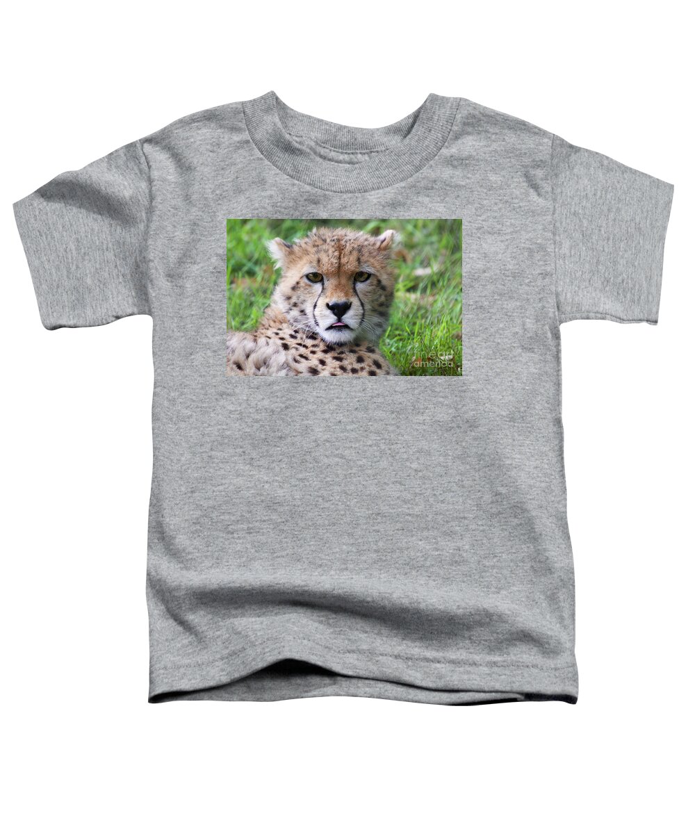 Photography Toddler T-Shirt featuring the photograph Cheetah by MGL Meiklejohn Graphics Licensing