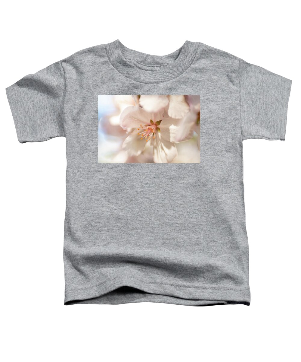 Flower Toddler T-Shirt featuring the photograph Cherry Blossom 2 by Pamela Taylor