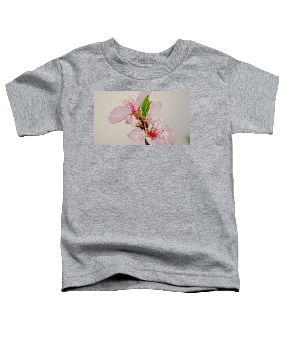Cherry Toddler T-Shirt featuring the photograph Cherry blossom III by Elena Perelman