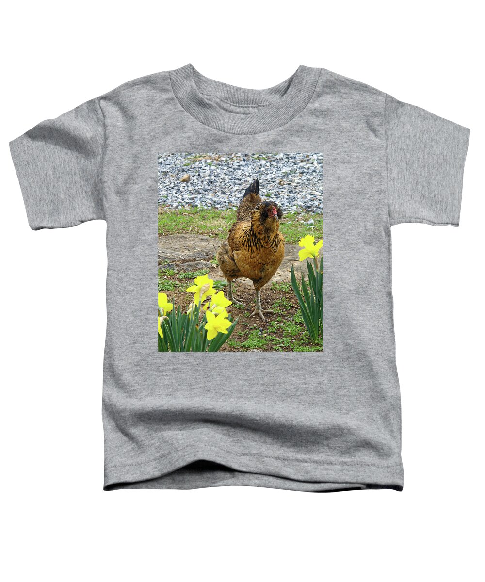 Chicken Walking Among Yellow Daffodils Toddler T-Shirt featuring the photograph Chicken Among Daffodils by Sally Weigand