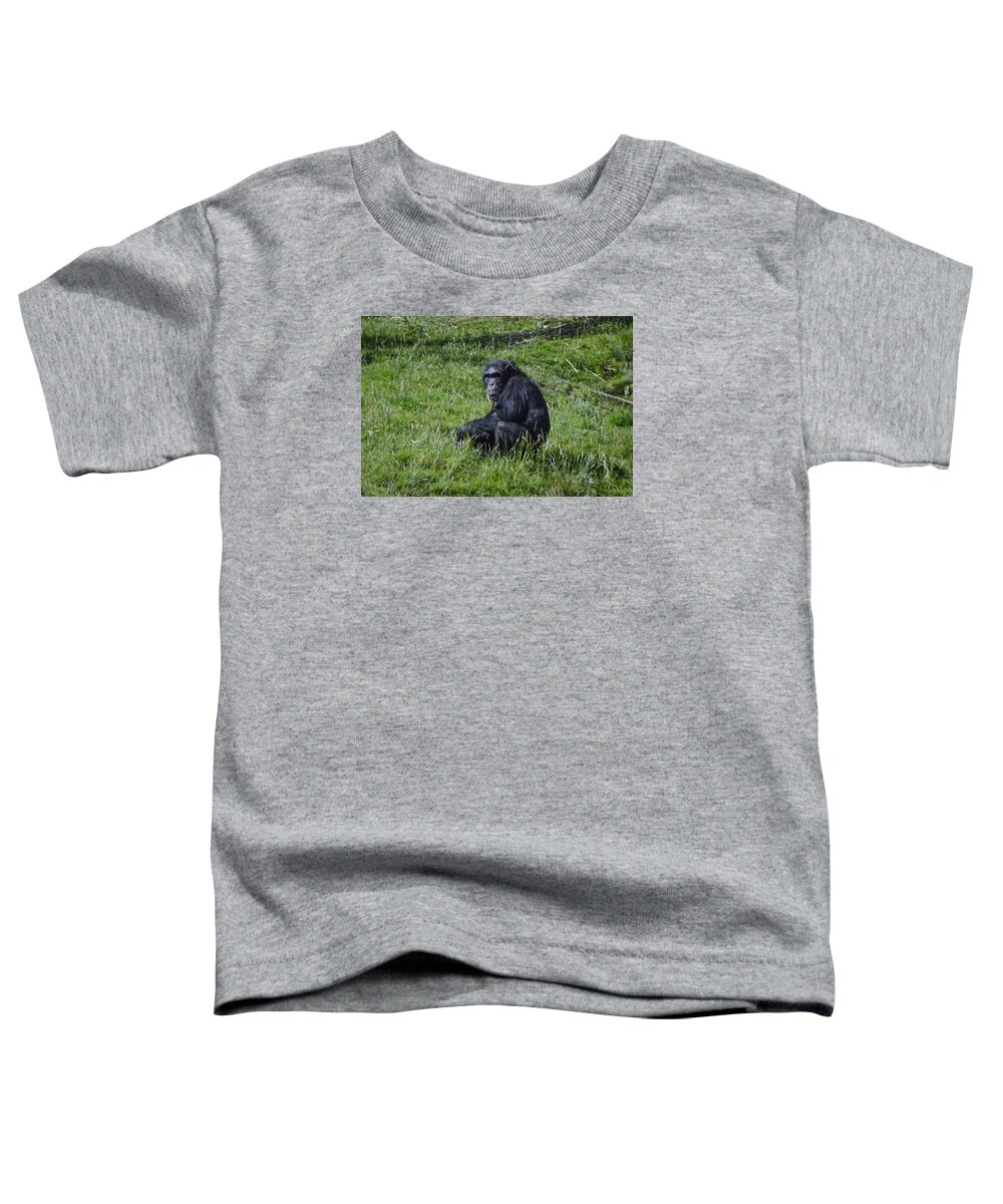 Landscape Toddler T-Shirt featuring the photograph Chimp by Chris Kincaid 