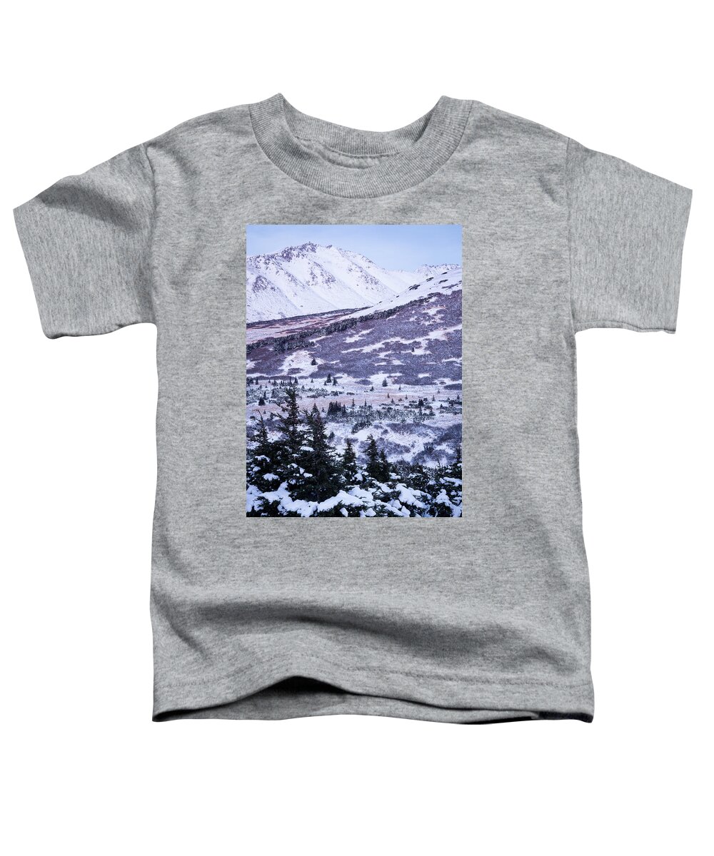 Chugach Toddler T-Shirt featuring the photograph Chugach in Alpenglow by Tim Newton