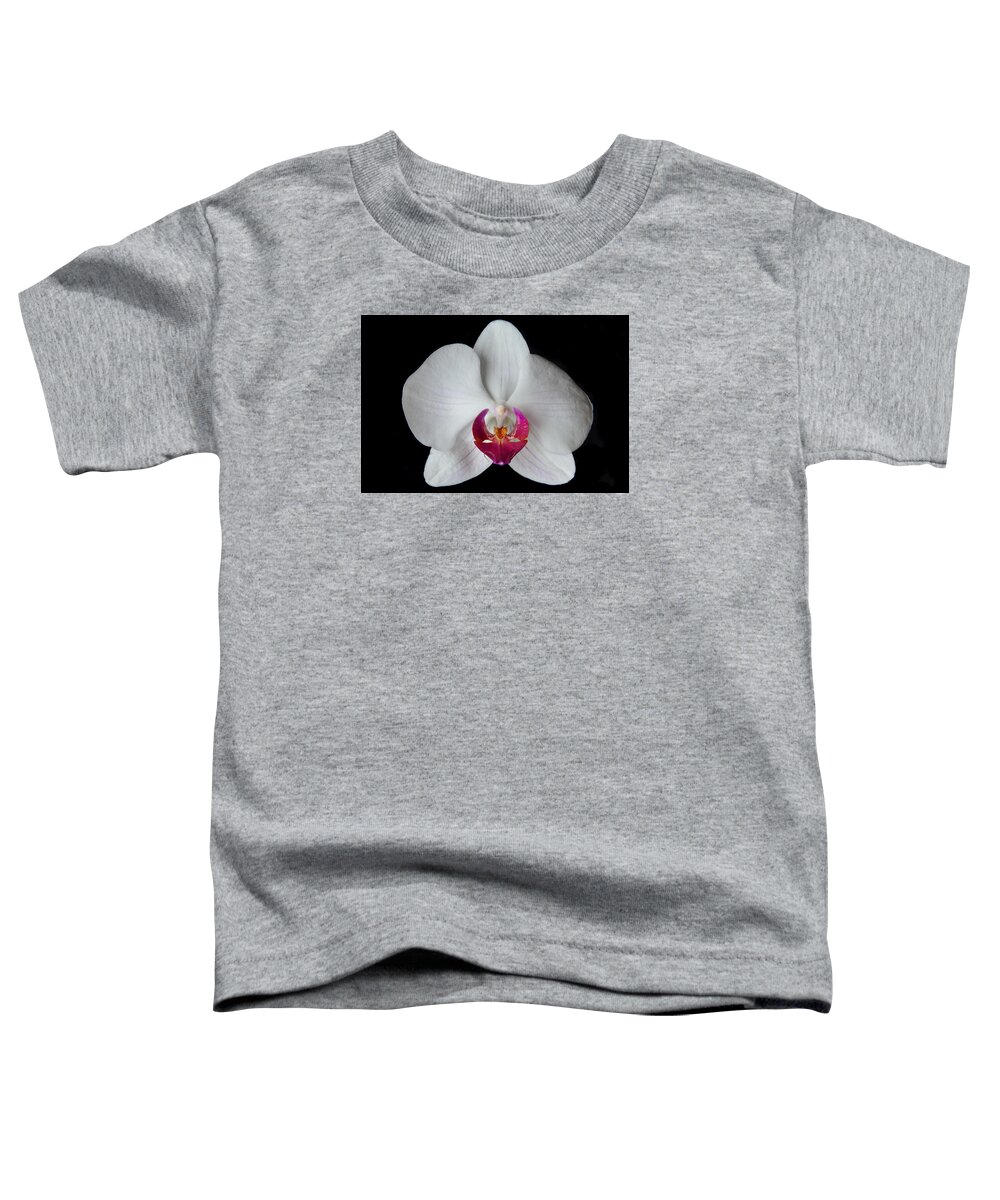 Orchid Toddler T-Shirt featuring the photograph Classic White Orchid by Terence Davis