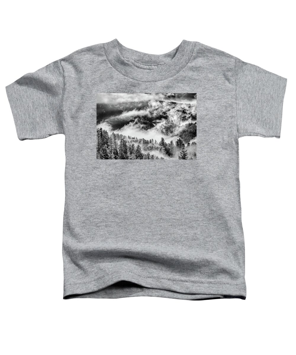Redwood National Park Toddler T-Shirt featuring the photograph Clearing of Winter Storm by Greg Nyquist