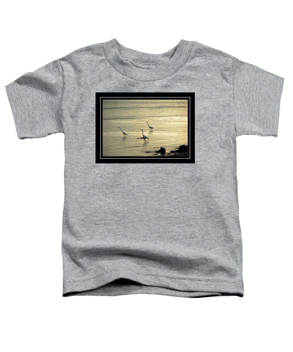 Clearwater Beach Toddler T-Shirt featuring the photograph Clearwater Beach by Carolyn Marshall