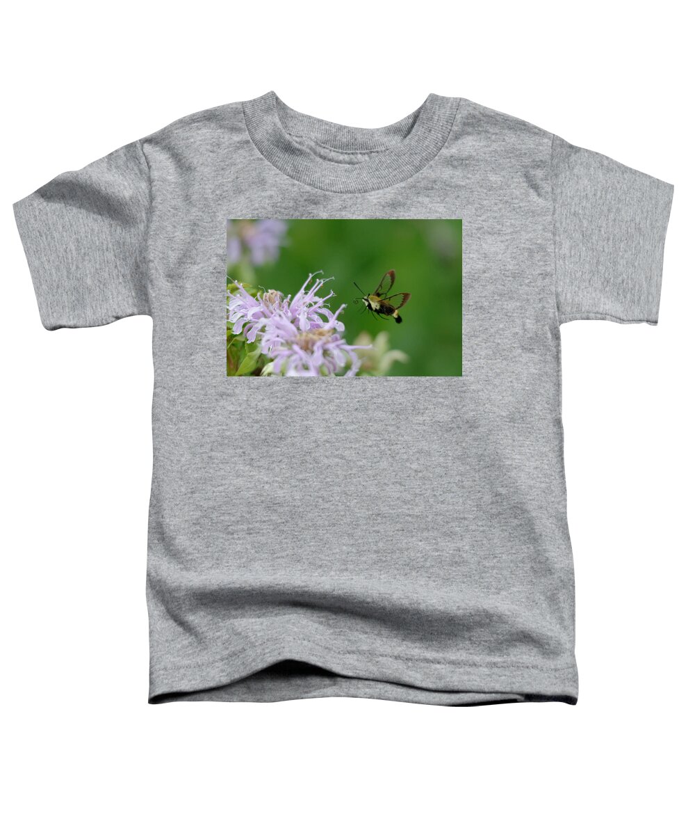 Moth Toddler T-Shirt featuring the photograph Clearwing moth by Peter Ponzio