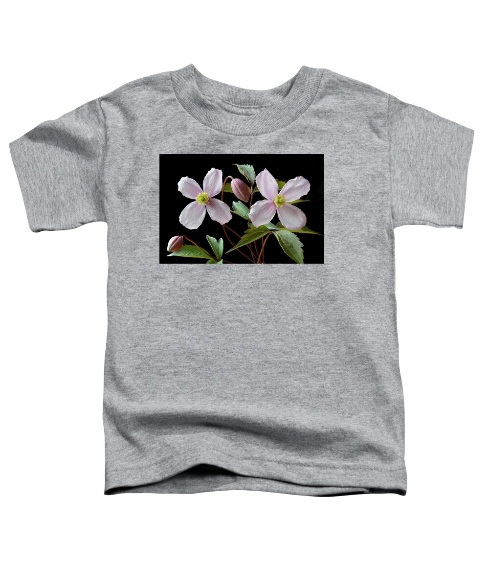 Clematis Flowers Toddler T-Shirt featuring the photograph Clematis Montana Rubens by Terence Davis