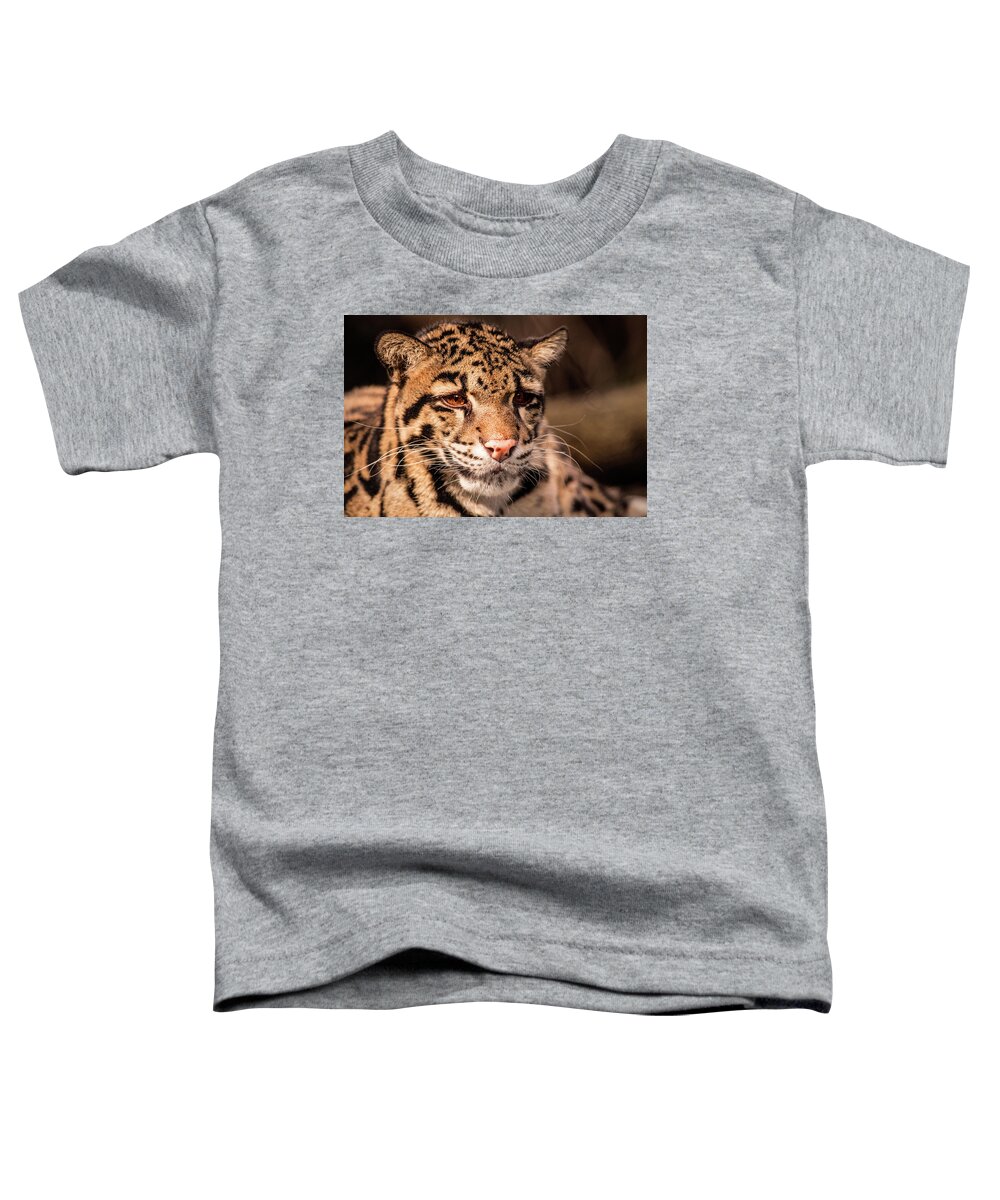 Leopard Toddler T-Shirt featuring the photograph Clouded Leopard II by Don Johnson