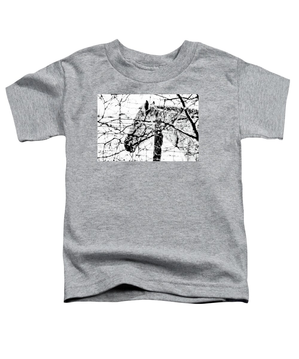 Texas Toddler T-Shirt featuring the photograph Cold Horse by Erich Grant