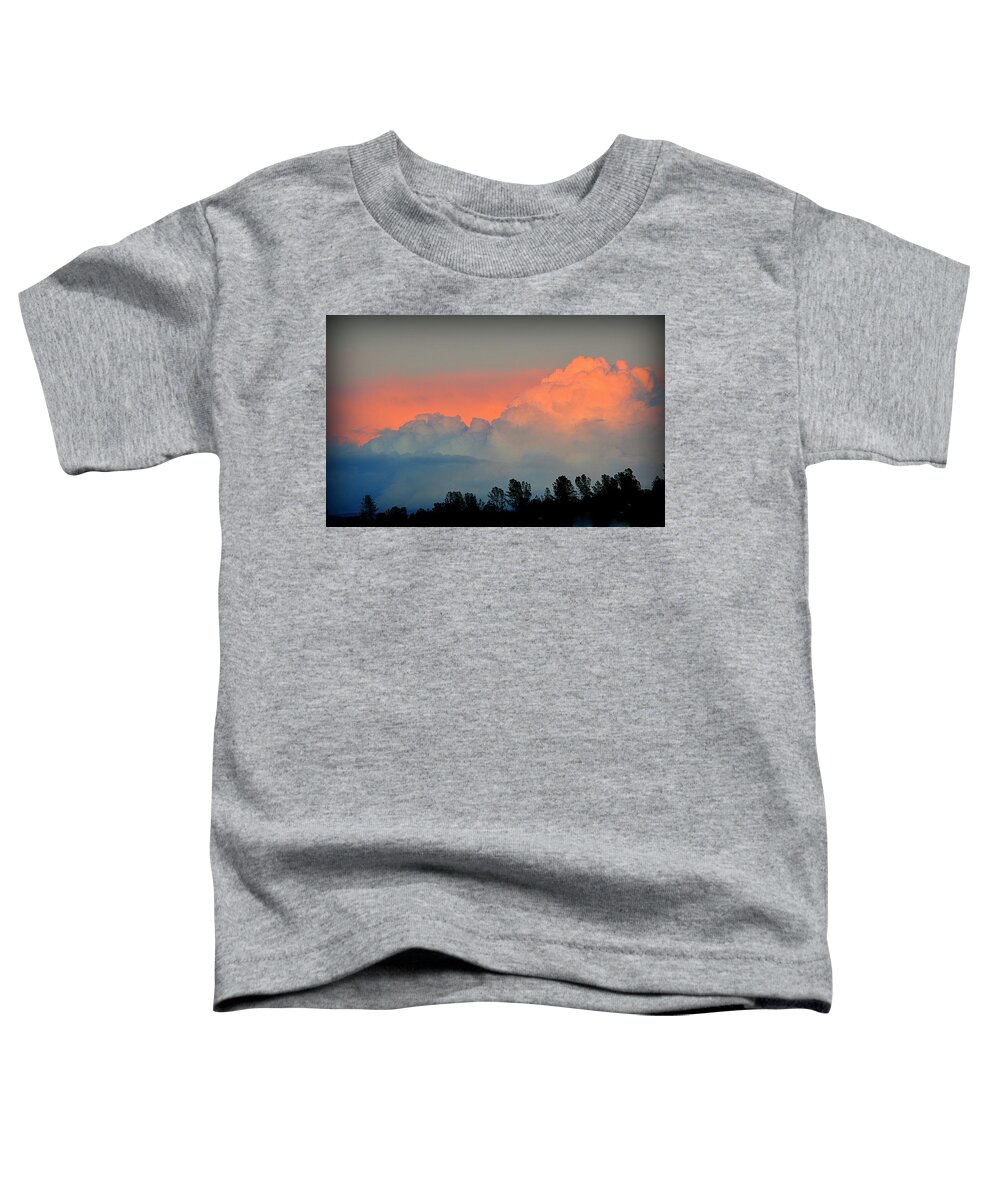 Scenic Toddler T-Shirt featuring the photograph Color Burst by AJ Schibig