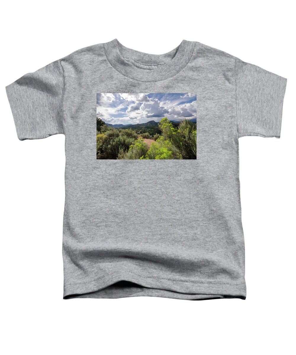 Durango Toddler T-Shirt featuring the photograph Colorado Summer by Margaret Pitcher