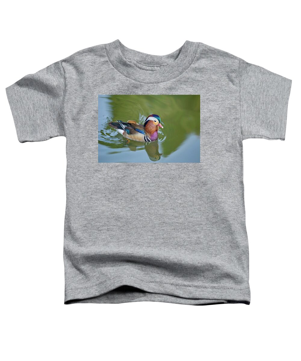 Colorful Mandarin Duck 2 Toddler T-Shirt featuring the photograph Colorful mandarin duck 2 by Lynn Hopwood