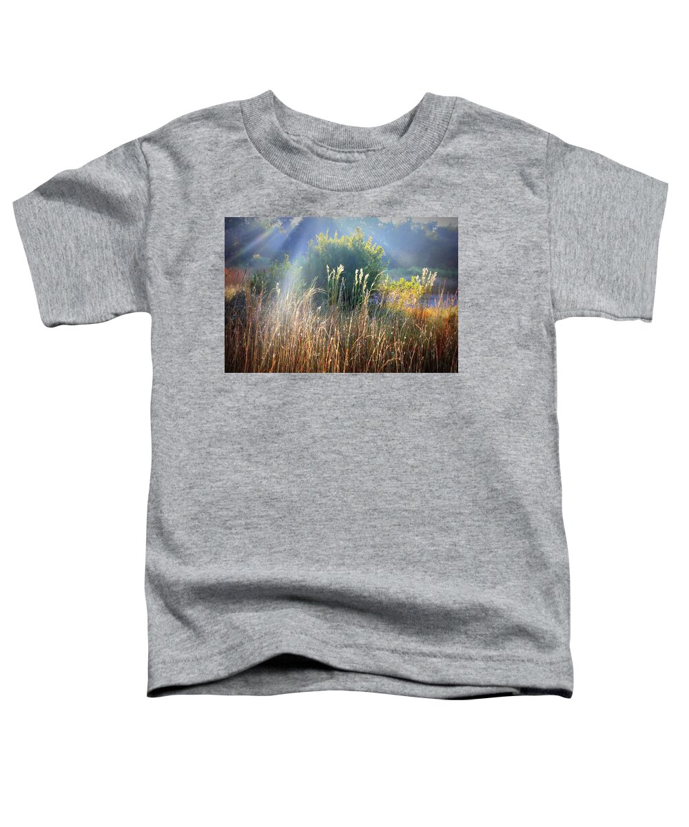 Wetlands Toddler T-Shirt featuring the photograph Colorful Morning Marsh by Carol Groenen