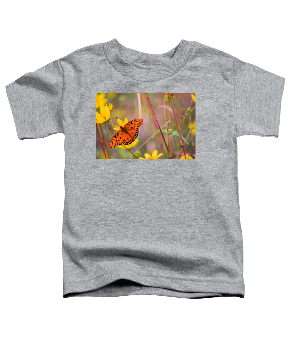 Butterfly Toddler T-Shirt featuring the photograph Colors of Summer by Parker Cunningham