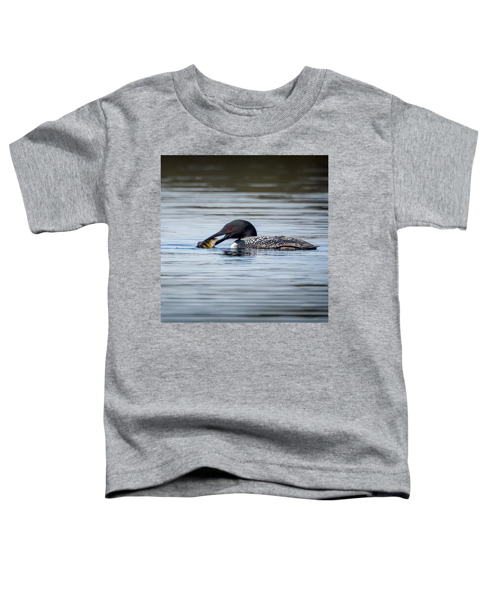 Square Toddler T-Shirt featuring the photograph Common Loon Square by Bill Wakeley