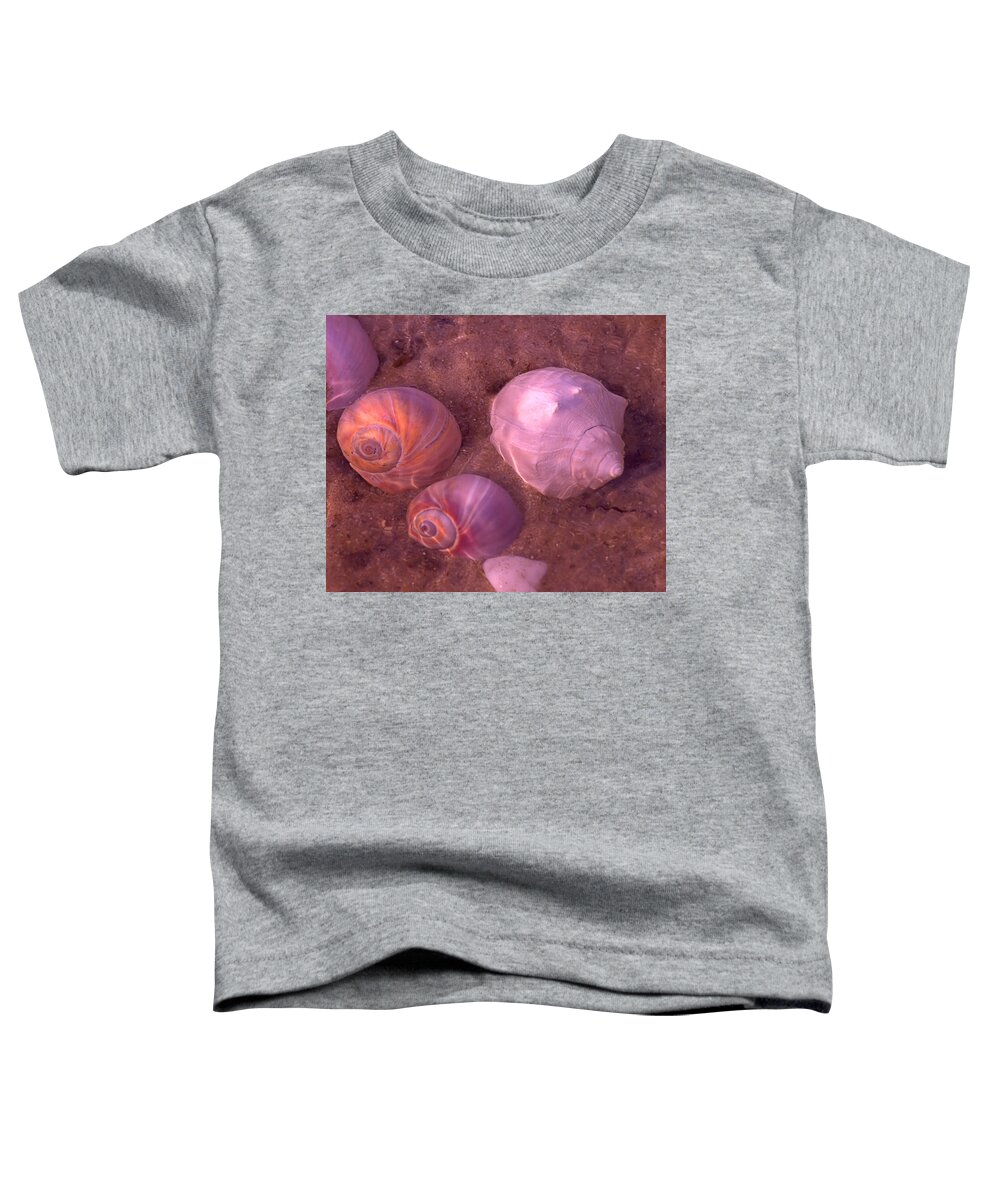 Seas Toddler T-Shirt featuring the photograph Conch by Newwwman