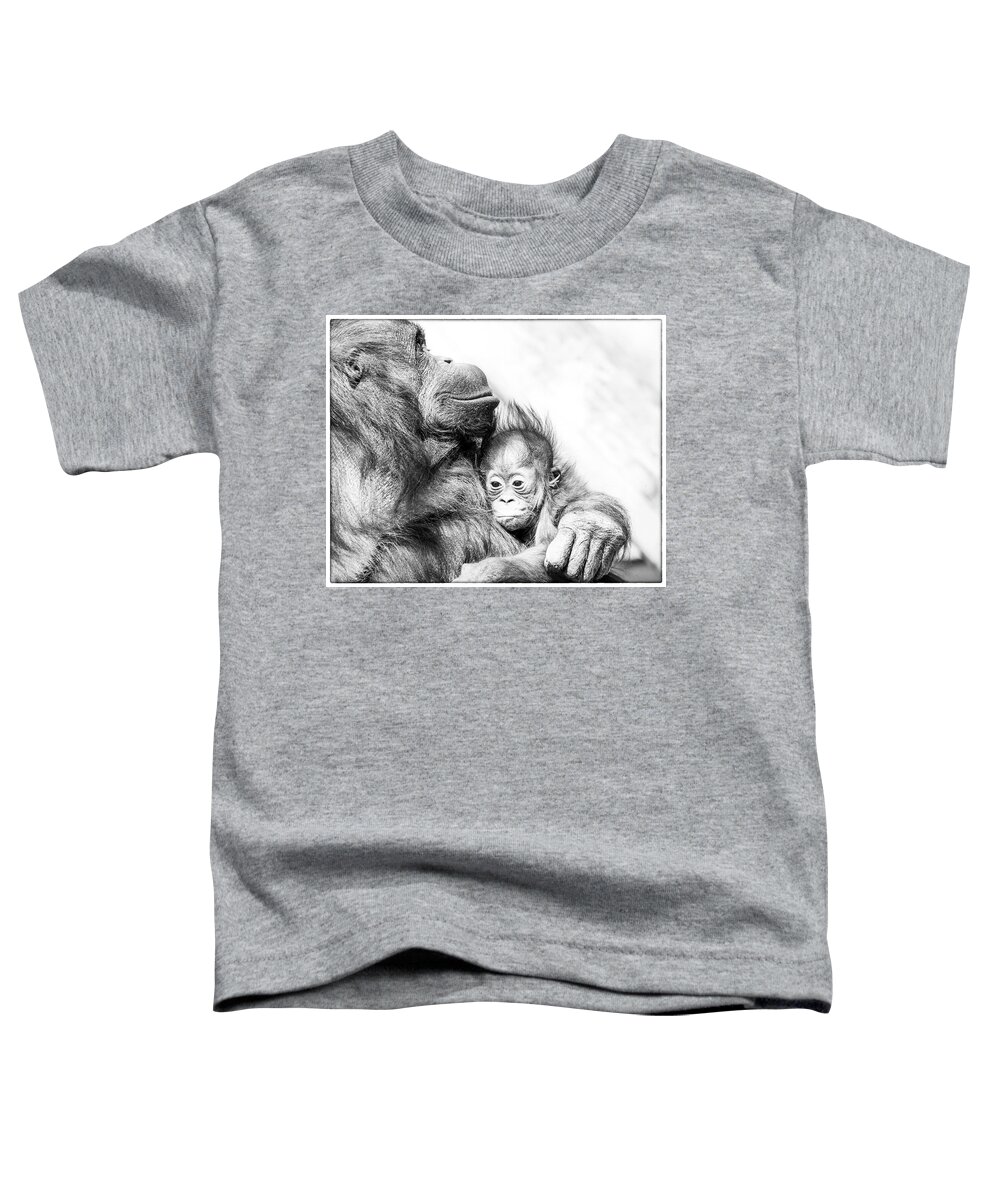 Crystal Yingling Toddler T-Shirt featuring the photograph Contentment by Ghostwinds Photography