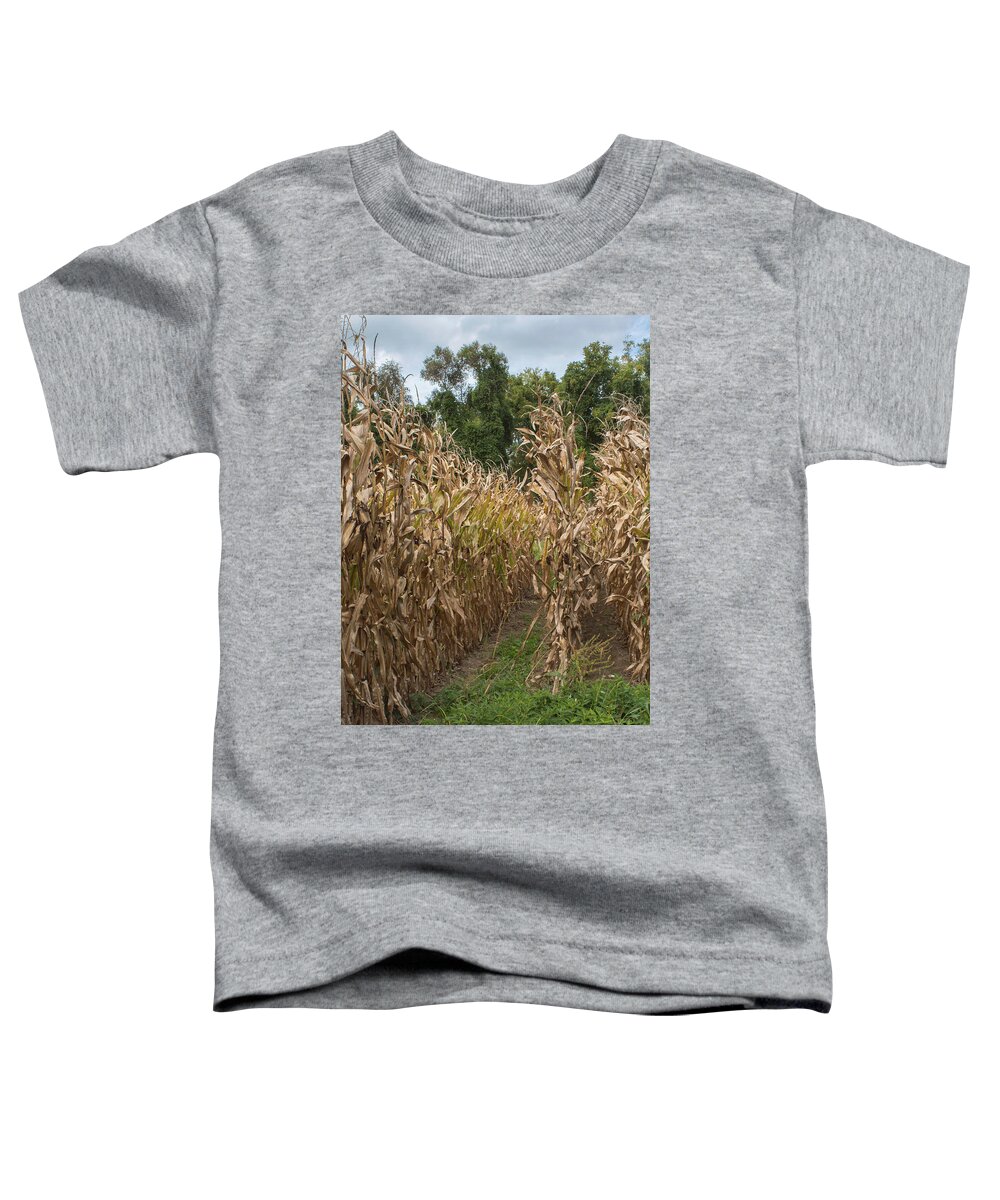 Corn Toddler T-Shirt featuring the photograph Cornstalks by Arlene Carmel