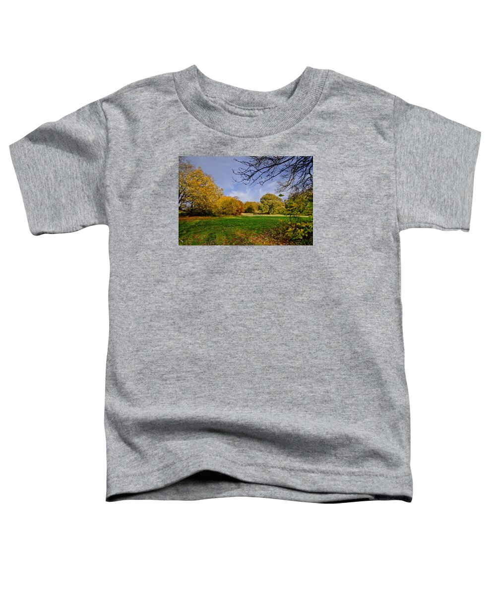 Scotland Toddler T-Shirt featuring the photograph Corstorphine fall by Elena Perelman
