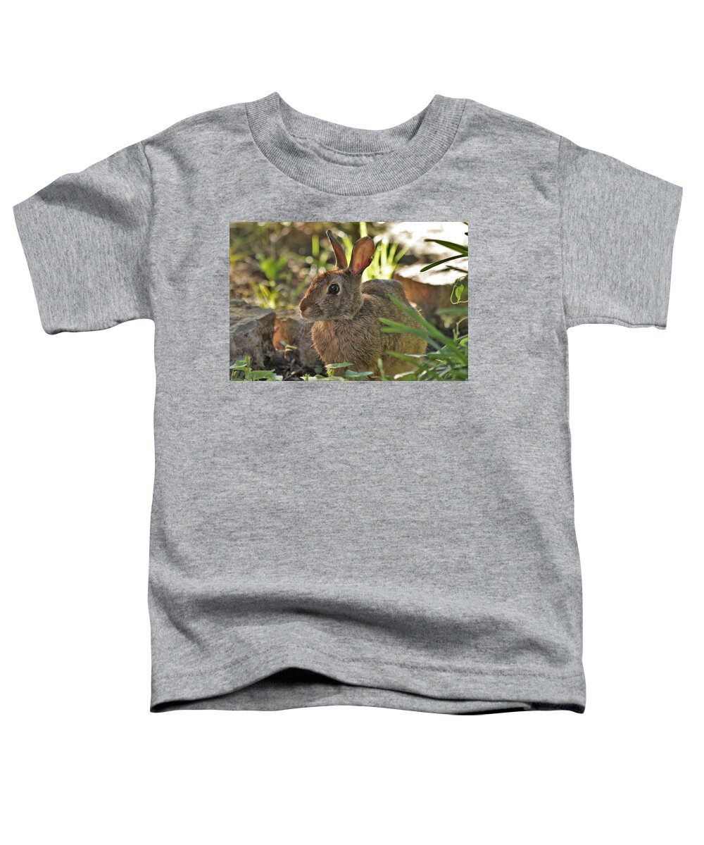 Nature Toddler T-Shirt featuring the photograph Cottontail Rabbit by Sheila Brown