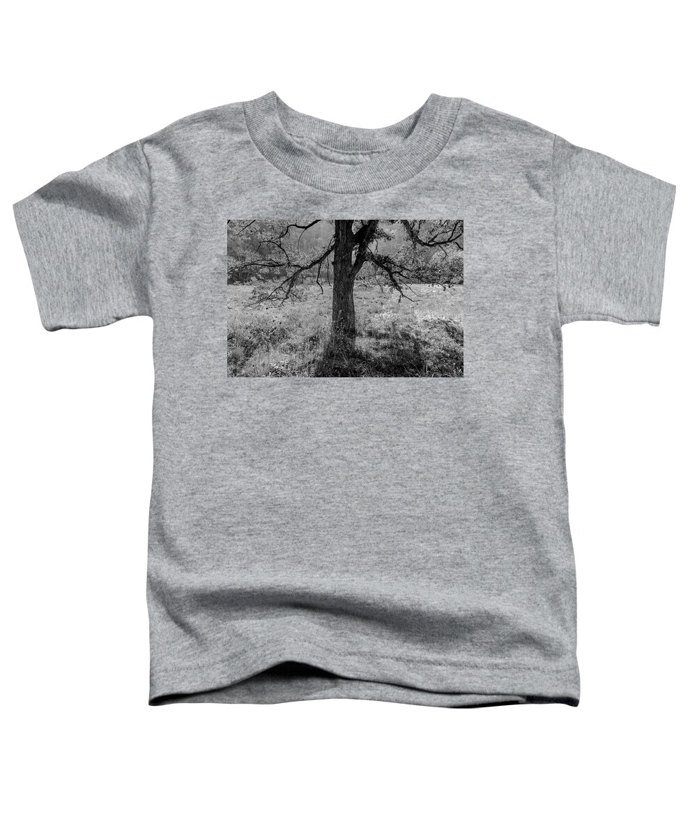 5dii Toddler T-Shirt featuring the photograph Coulee Oak by Mark Mille