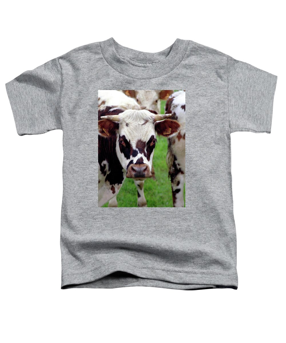 Cow Toddler T-Shirt featuring the photograph Cow Closeup by Frank DiMarco