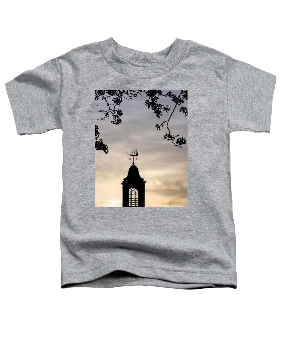 Silhouette Toddler T-Shirt featuring the photograph Cupola Silhouette by Janice Drew