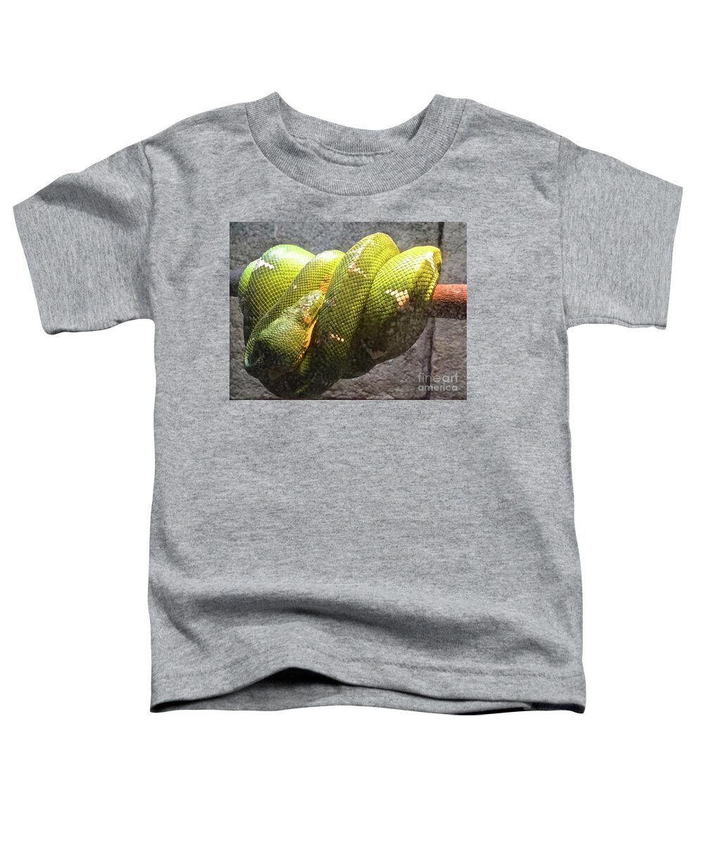 Snake Toddler T-Shirt featuring the photograph Curly by Beth Saffer