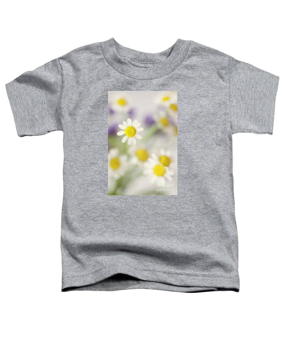 Daisies Toddler T-Shirt featuring the photograph Daisies in Morning Mist by Susan Gary