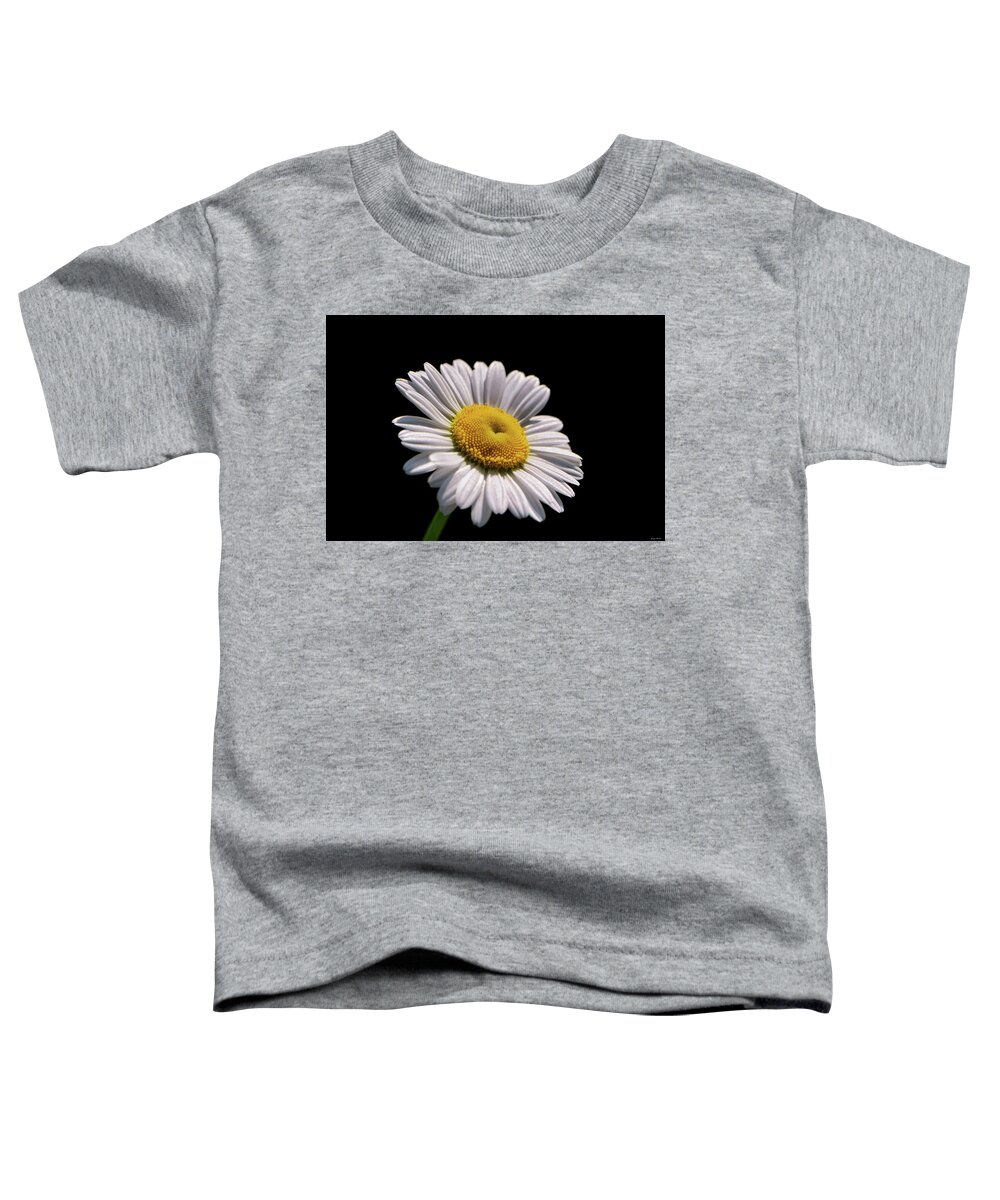 Macro Toddler T-Shirt featuring the photograph Daisy 011 by George Bostian