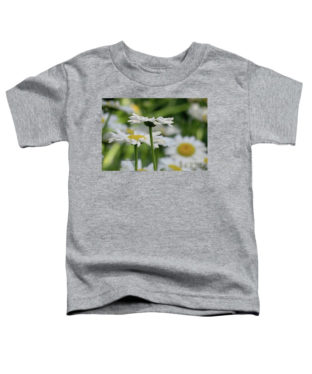 Daisy Toddler T-Shirt featuring the photograph Daisy petals by Yumi Johnson