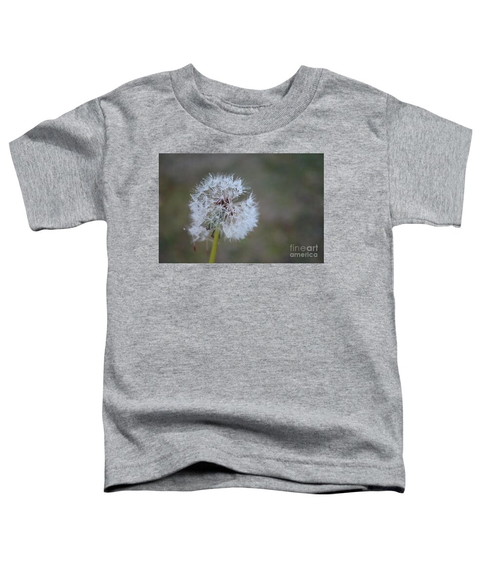Dandelion Frost Toddler T-Shirt featuring the photograph Dandelion Frost by Maria Urso