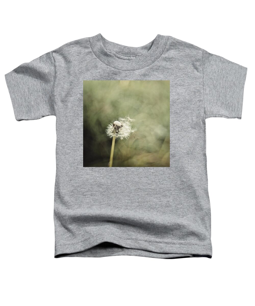 Composerpro Toddler T-Shirt featuring the photograph Dandelion

#lensbaby #composerpro by Mandy Tabatt