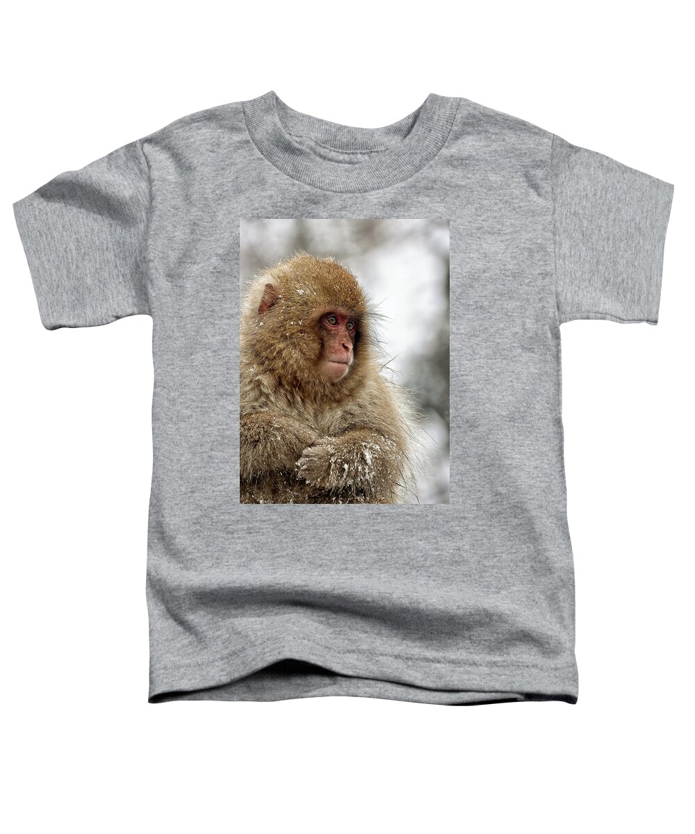 Snow Monkey Toddler T-Shirt featuring the photograph Deep in Thought by Kuni Photography
