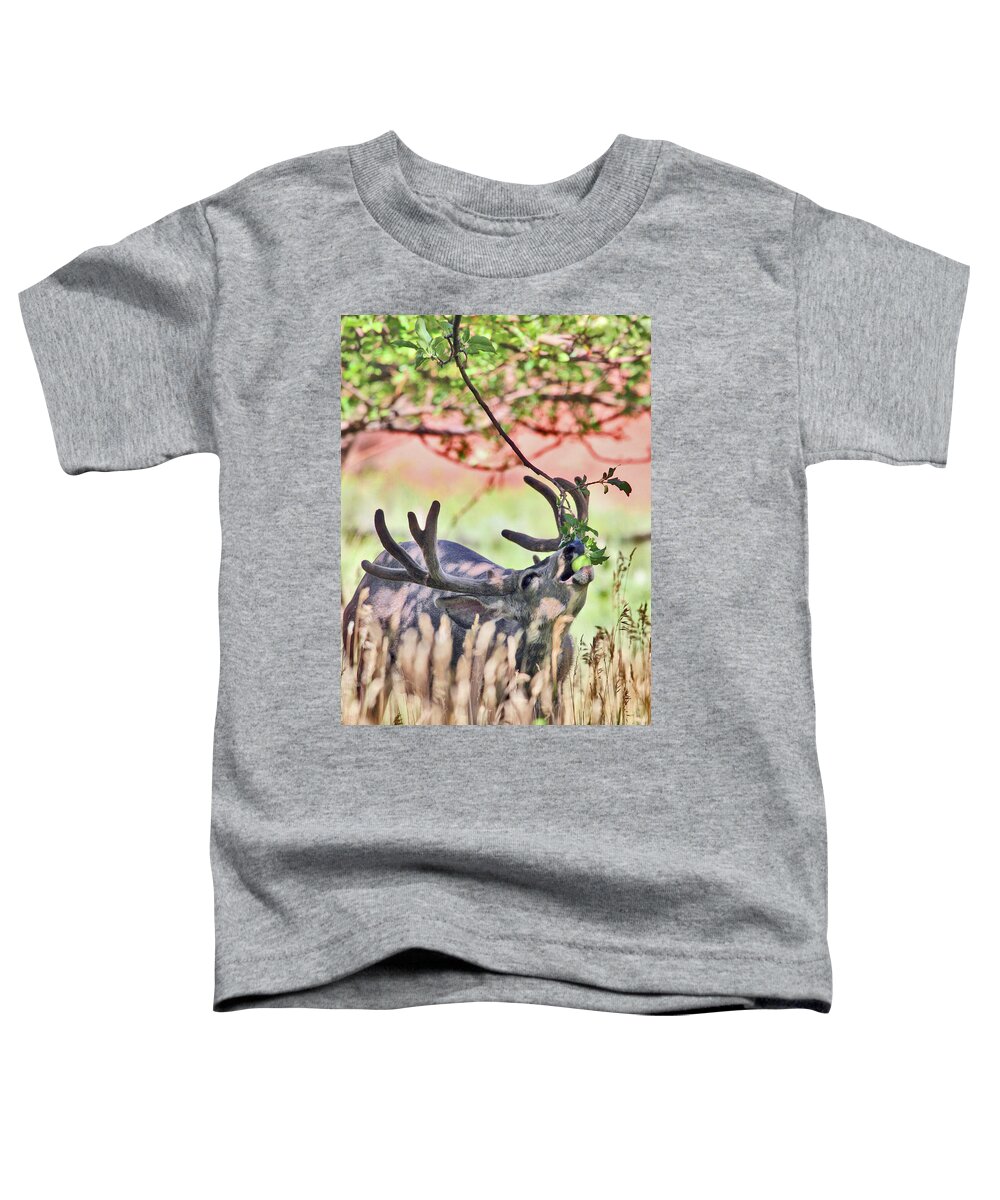 Deer Toddler T-Shirt featuring the photograph Deer in the Orchard by Wesley Aston
