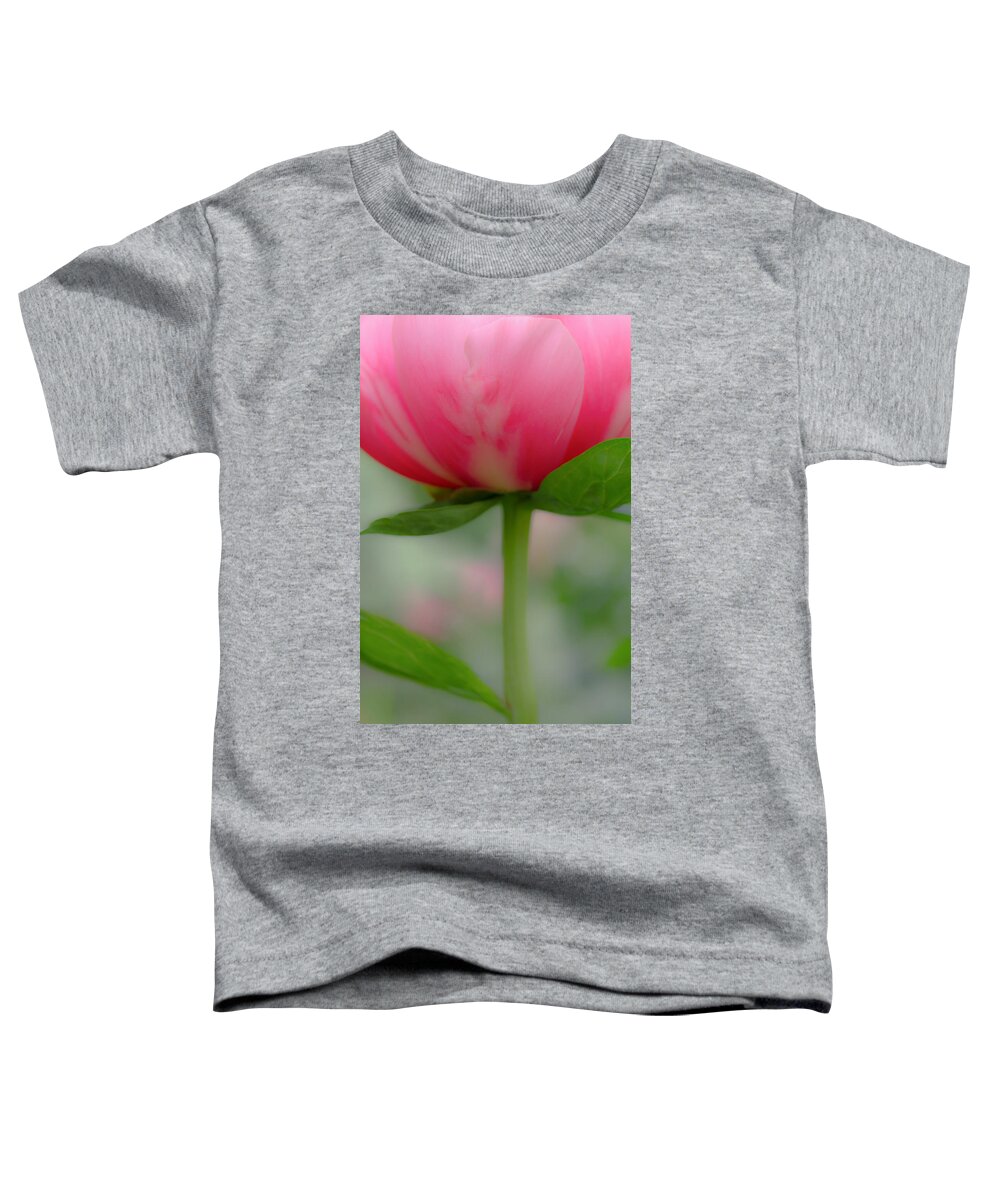 Poppy Toddler T-Shirt featuring the photograph Delicate Poppy by Don Schwartz