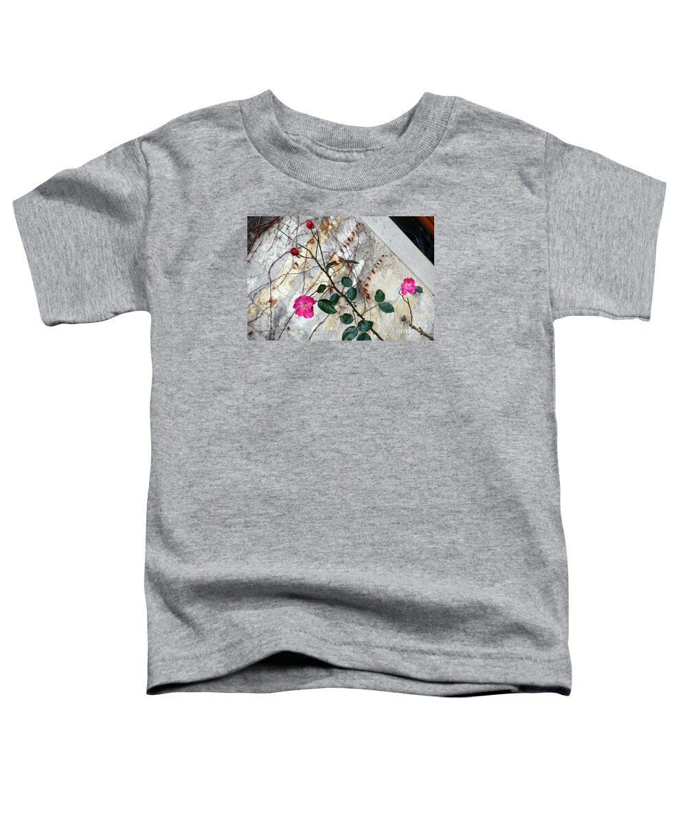 Rose Toddler T-Shirt featuring the photograph Delicate rose in December by Eva-Maria Di Bella
