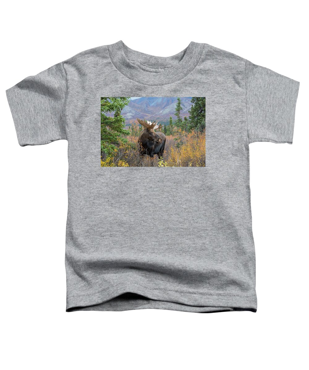 Sam Amato Photography Toddler T-Shirt featuring the photograph Denali Bull Moose by Sam Amato