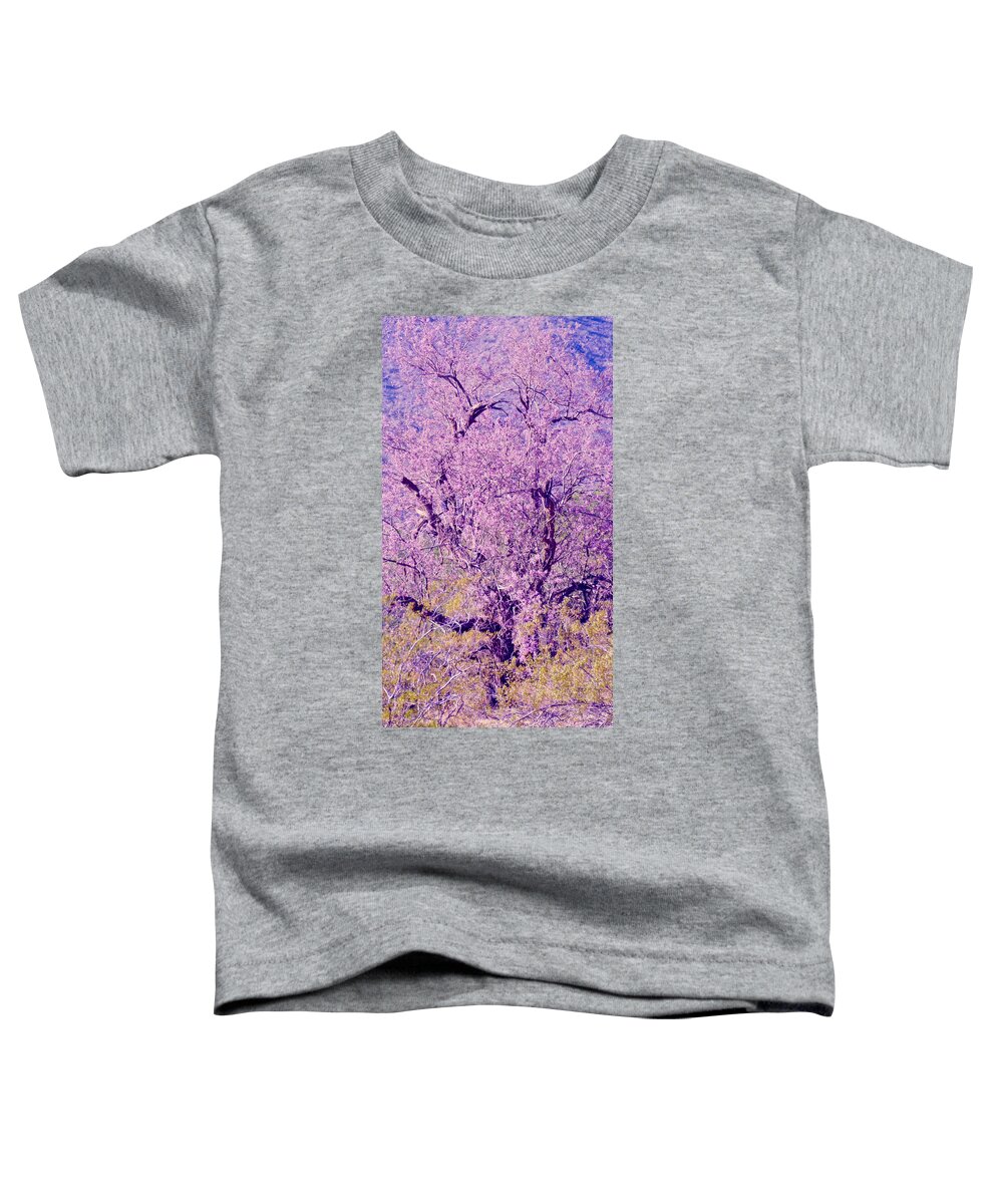 Arizona Toddler T-Shirt featuring the photograph Desert Ironwood Beauty 2 by Judy Kennedy