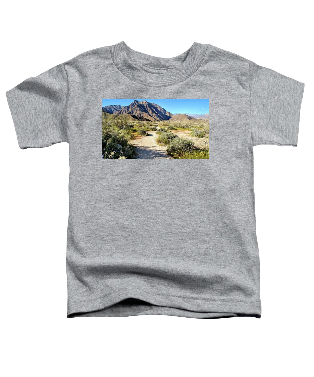 Anza Borrego Desert State Park Toddler T-Shirt featuring the photograph Desert Landscape by Michelle Joseph-Long