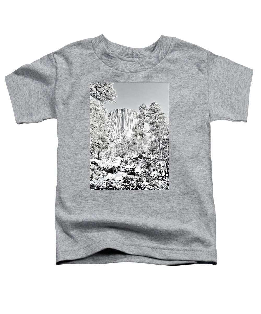 Devils Tower Toddler T-Shirt featuring the photograph Devils Tower Wyoming by Merle Grenz