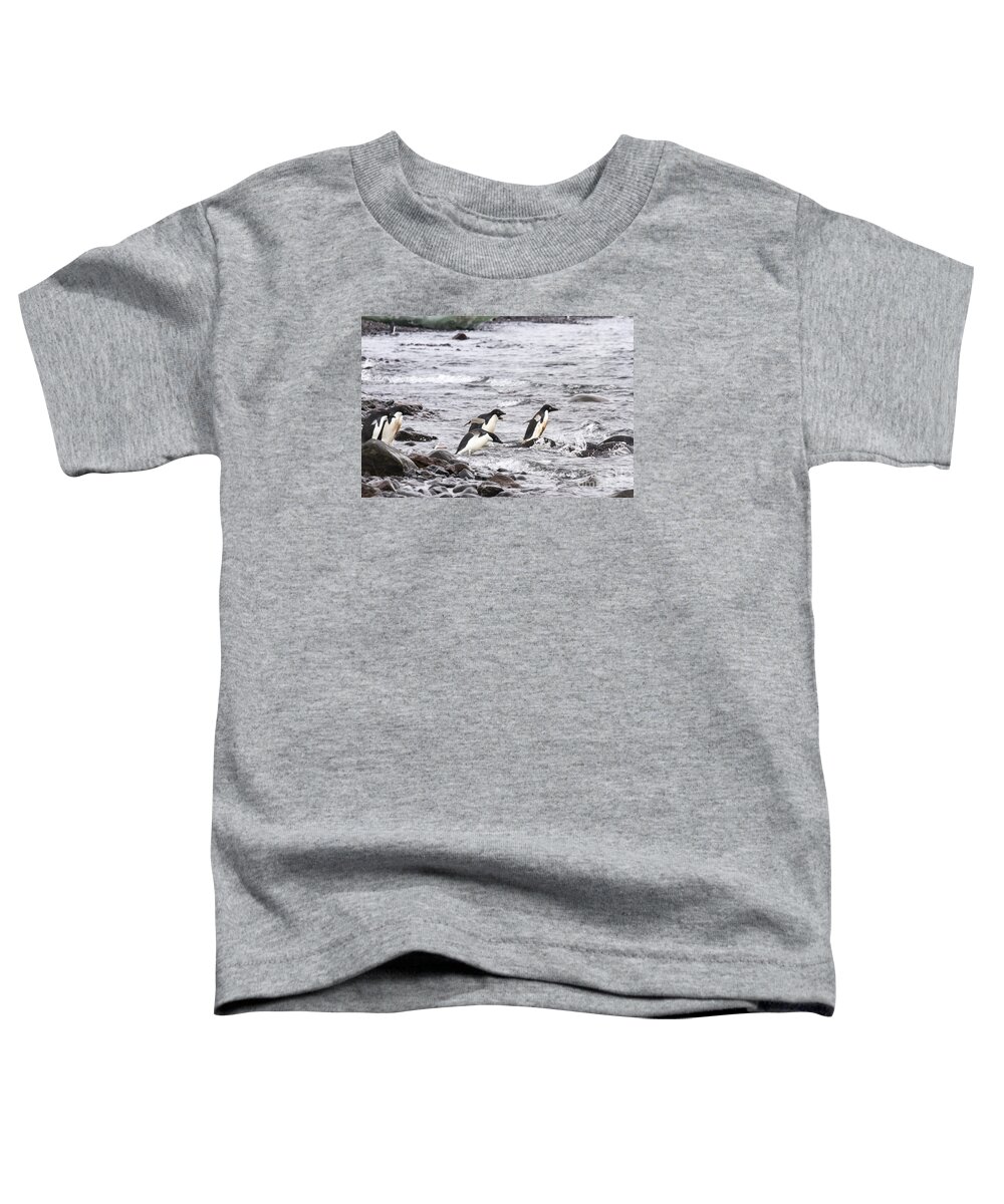 Adelie Toddler T-Shirt featuring the photograph Diving adelie penguins, Paulet Island, Antarctica by Karen Foley