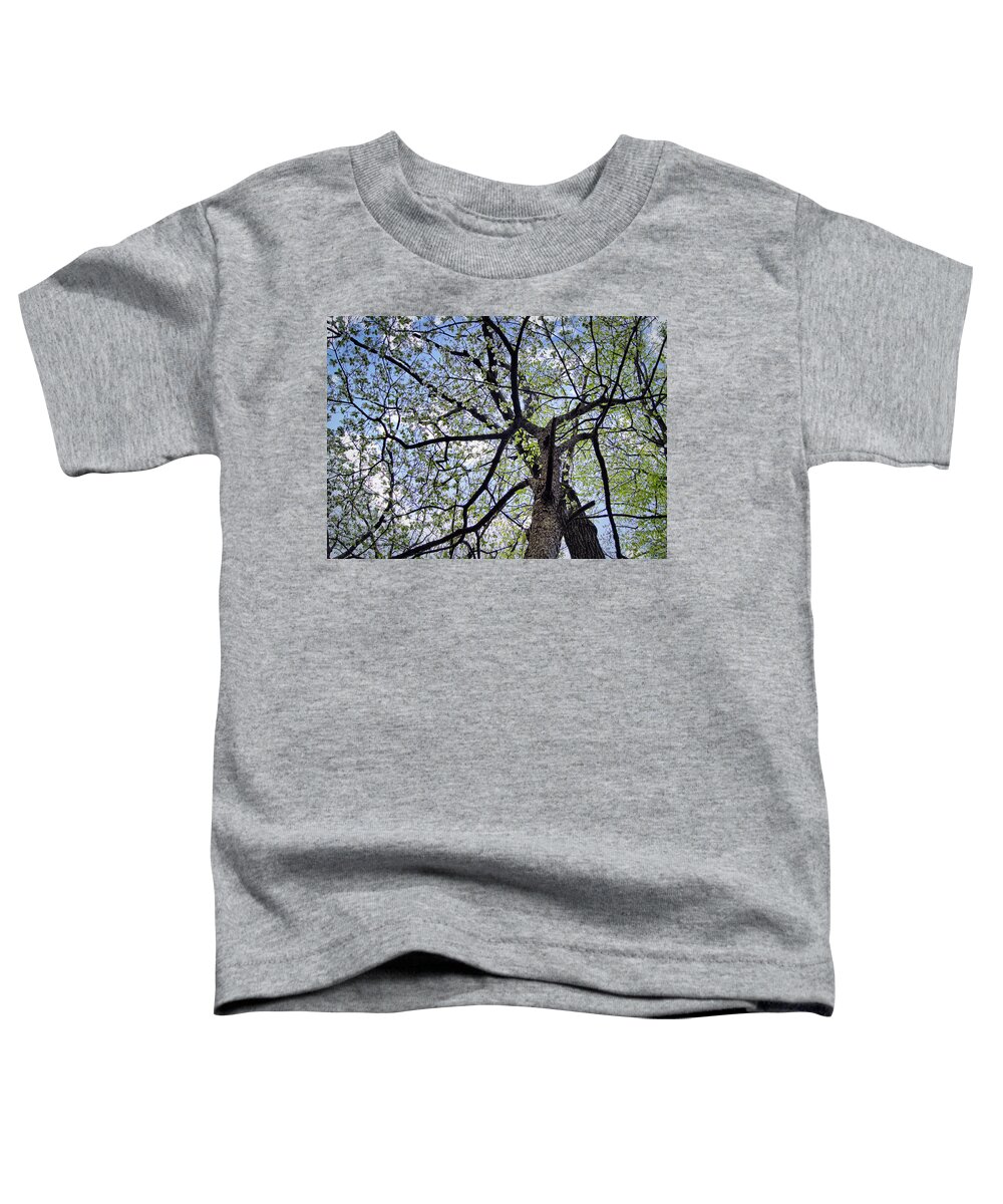 Dogwood Toddler T-Shirt featuring the photograph Dogwood Canopy by Cricket Hackmann