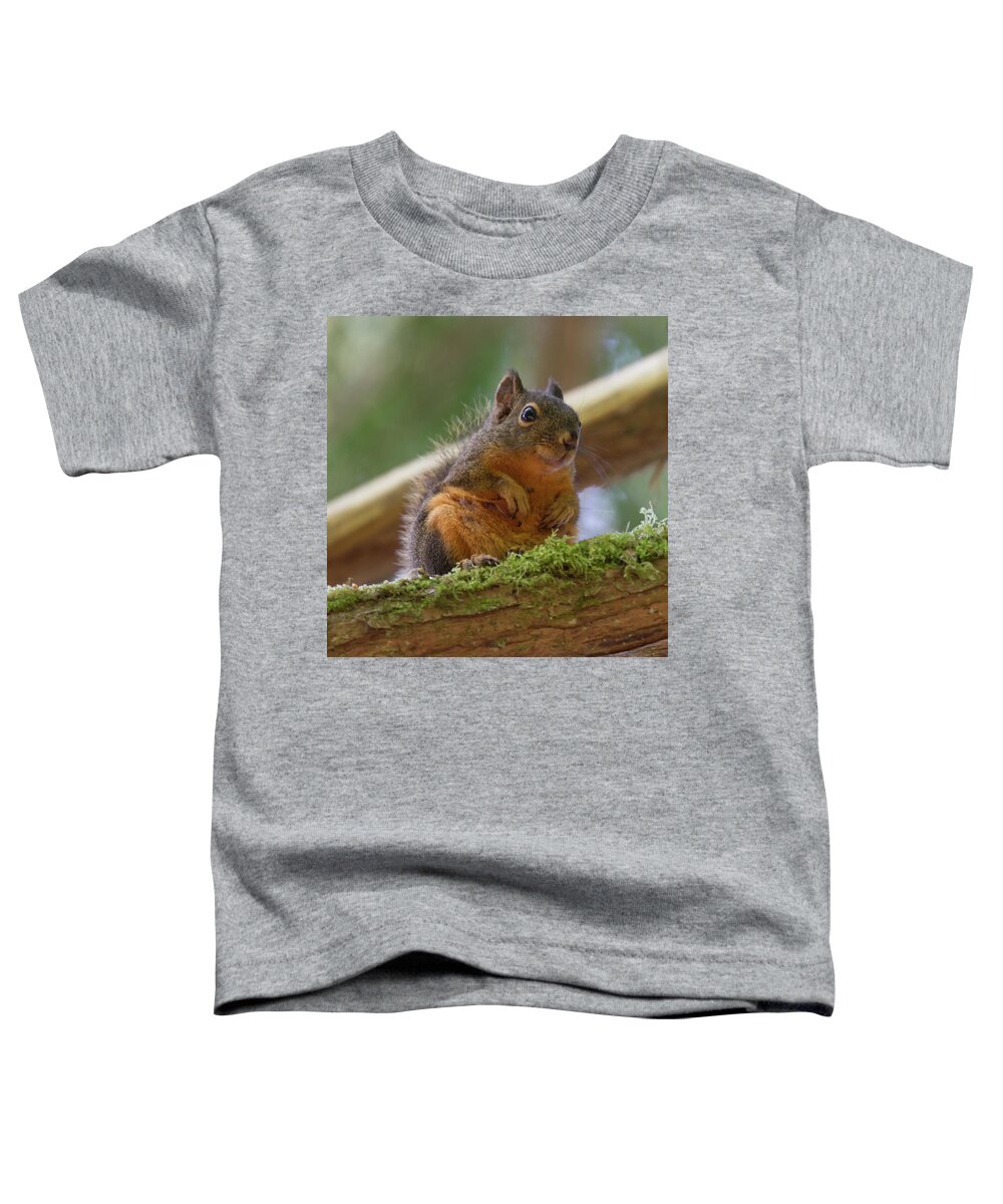 Squirrel Toddler T-Shirt featuring the photograph Douglas Squirrel by Paul Rebmann