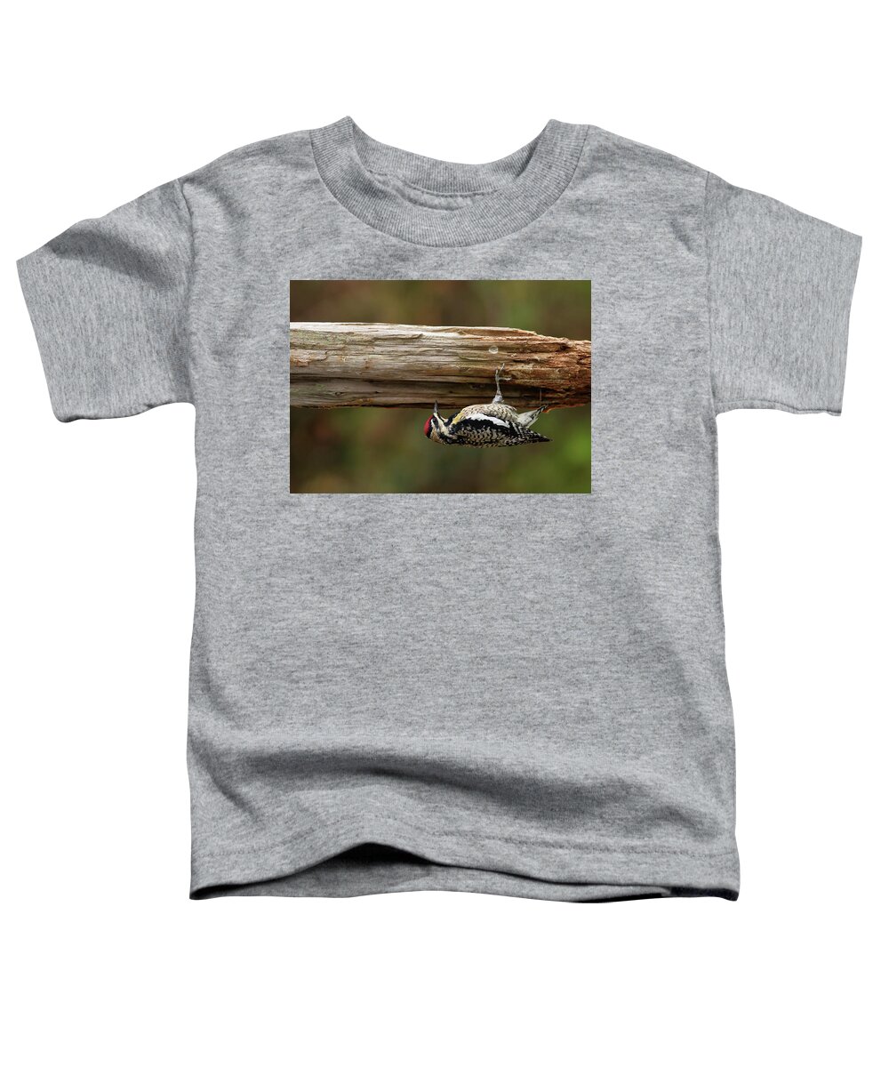 Bird Toddler T-Shirt featuring the photograph Hairy Woodpecker by Daniel Reed