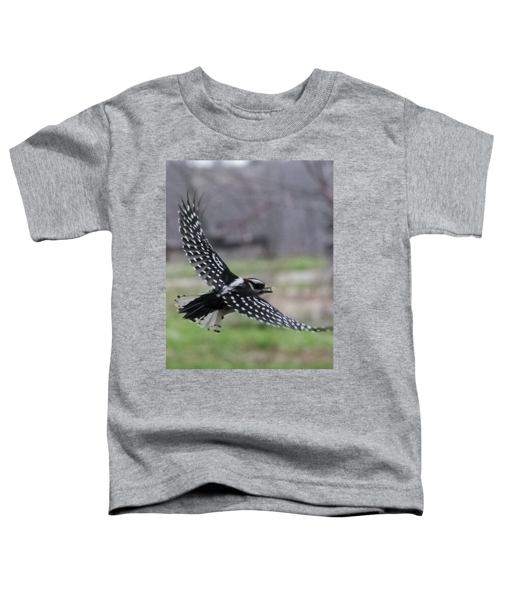 Jan Toddler T-Shirt featuring the photograph Downy Woodpecker in Flight by Holden The Moment