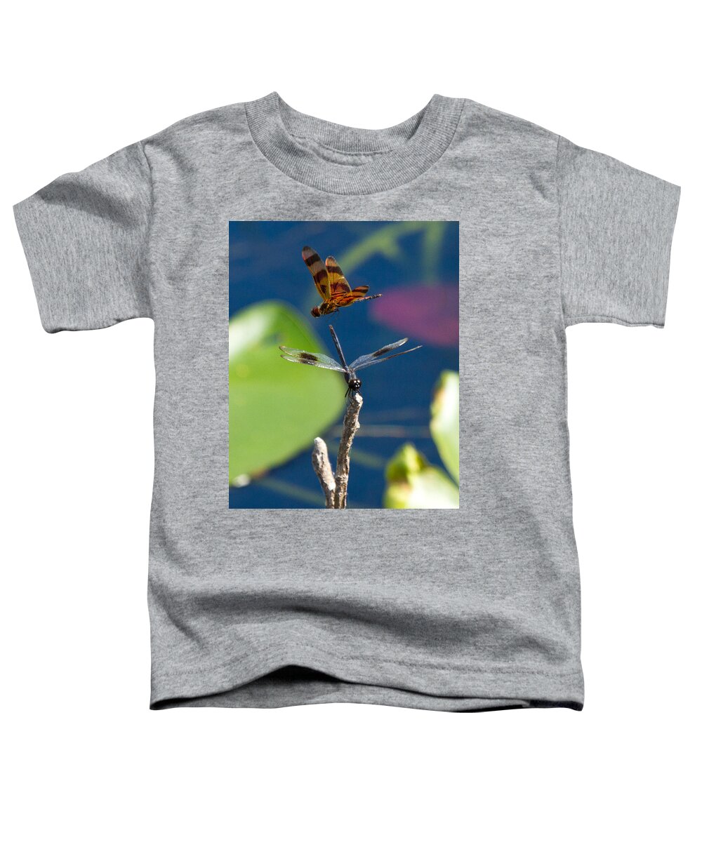 Dragon Fly Toddler T-Shirt featuring the photograph Dragon Fly 195 by Michael Fryd
