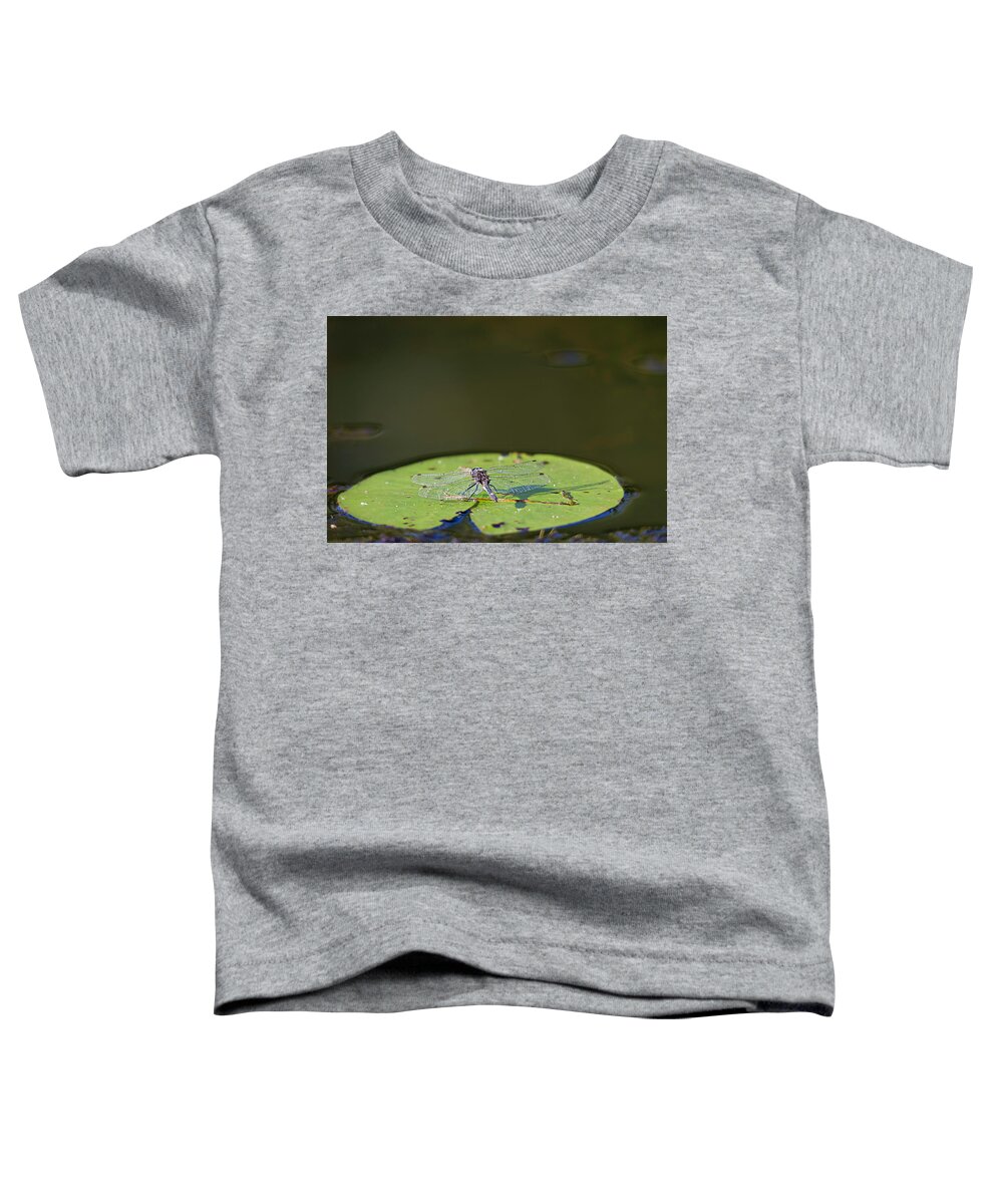 Dragonfly Toddler T-Shirt featuring the photograph Dragonfly by Benjamin Dahl