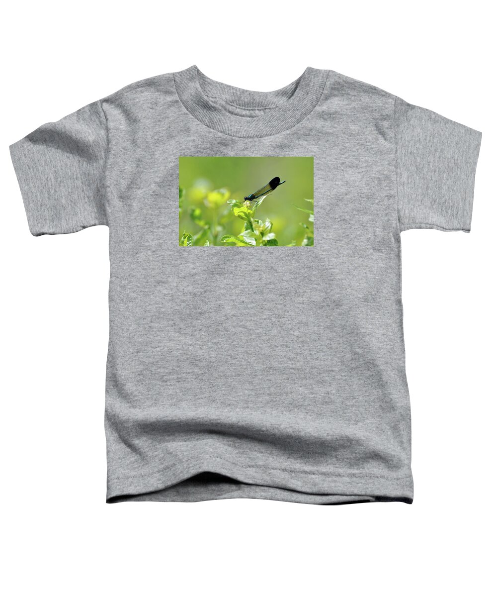 Dragonfly Toddler T-Shirt featuring the photograph Dragonfly by Glenn Gordon